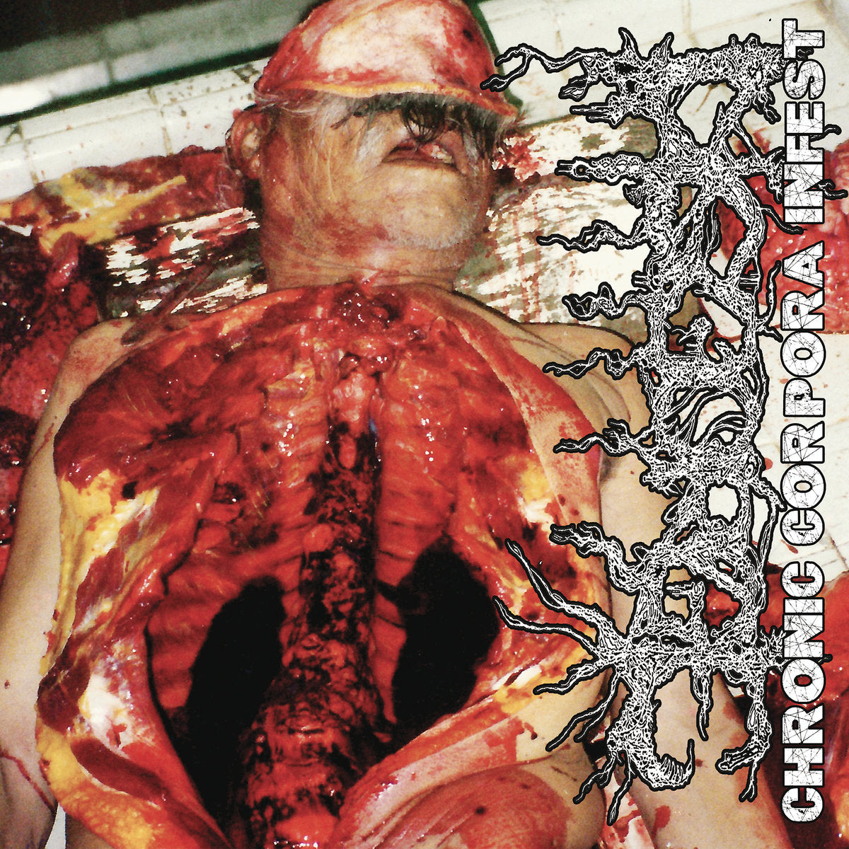 Vinyl DISGORGE Chronic Corpora Infest